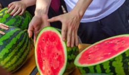 今日吃瓜 重生,重生后的娱乐圈风云再起